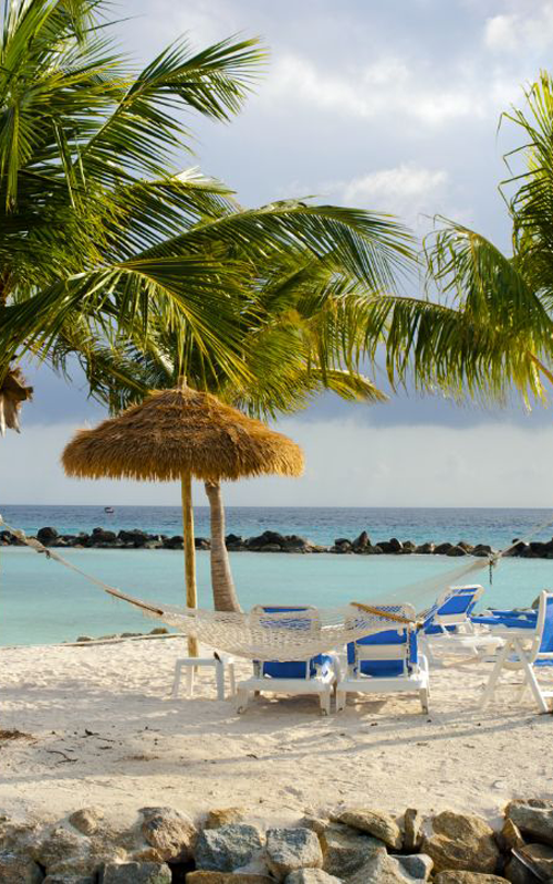 CARIB 500x800